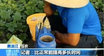 吃瓜买视频犯法吗,法律边界与道德考量