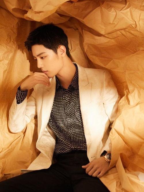 肖战吃瓜菊完整视频,全程回顾与深度解析