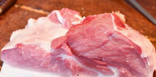 吃瓜10小时长的视频,吃瓜界的马拉松盛宴