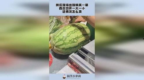 吃瓜搞笑视频一大一小版,搞笑视频笑果翻倍！