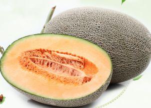 吃爷爷哈密瓜视频大全下载,吃爷爷哈密瓜视频大全，一网打尽甜蜜瞬间