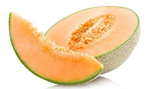 墨龟可以吃哈密瓜吗视频,探索龟类饮食新选择