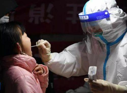 疫情好事者吃瓜视频大全,好事者视频大全回顾