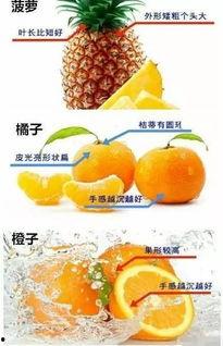 水果瓜该怎么吃才好吃视频,解锁最佳食用技巧