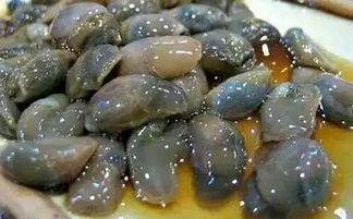 吃泥螺能吃哈密瓜吗视频,一场味蕾的冒险之旅