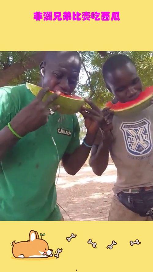 兄弟吃瓜大赛搞笑视频,笑料横飞，瓜界风云再起！