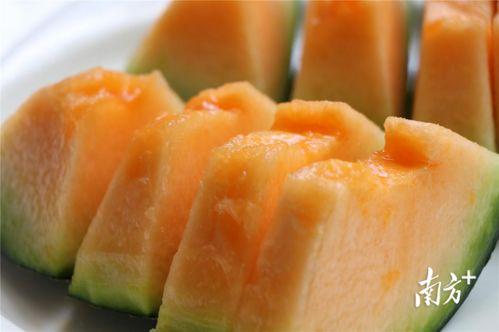 伽师吃瓜视频大全,伽师吃瓜视频大全精彩回顾